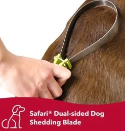 Medium To Large Shedding Grooming Saw, Safari -Pet Supplies Shop rateau chien safari 1 3a3