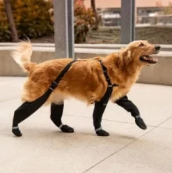 Canada Pooch Suspender Dog Boots For Winter -Pet Supplies Shop suspender dog boots canada pooch botte pour chien