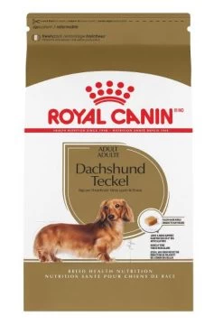 Food For Adult Dachshund, Royal Canin
