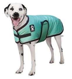 Tundra Shedrow K9 Mint Winter Dog Coat