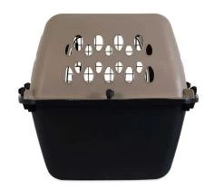 Carrier For Dog Or Cat, Petmate Rigid -Pet Supplies Shop vari kennel pour c hien et chat avion